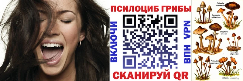 Псилоцибиновые грибы GOLDEN TEACHER  Демидов 